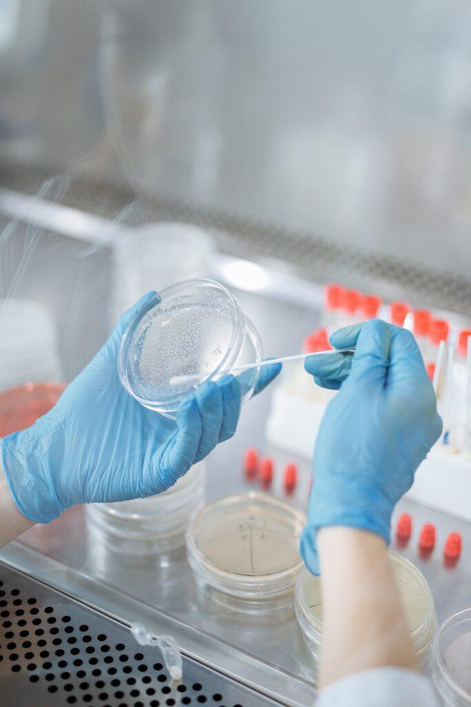 pexels-thirdman-8940524_web